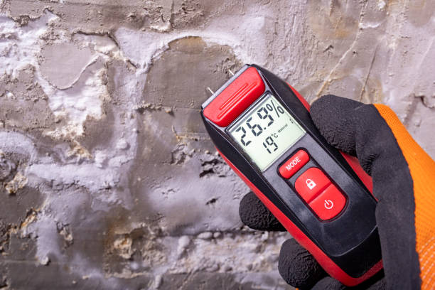 Best Black Mold Remediation in Colonia, NJ