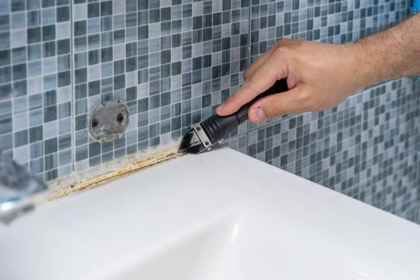 Best Basement Mold Remediation in Colonia, NJ